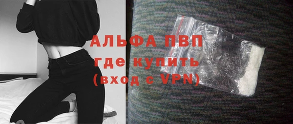 ешки Горняк