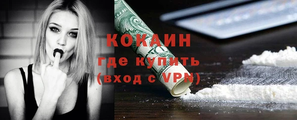 ешки Горняк