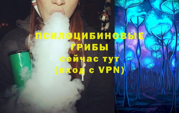 гидра Горно-Алтайск