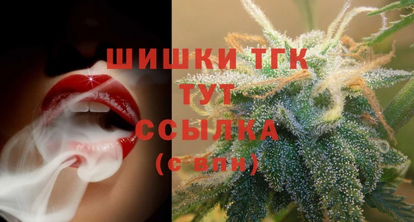 гидра Горно-Алтайск