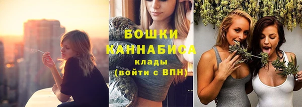 гидра Горно-Алтайск